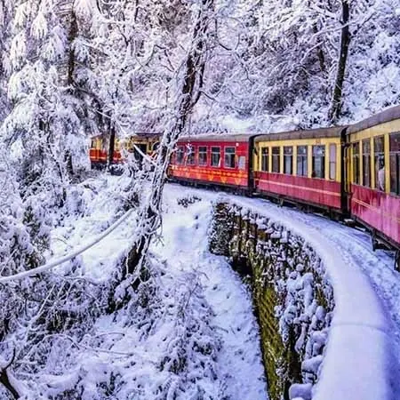 india tour